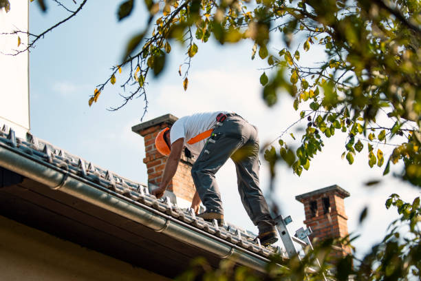 Best Roof Maintenance Services  in Lutherville, MD