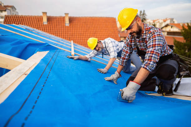 Best Roof Repair Services  in Lutherville, MD